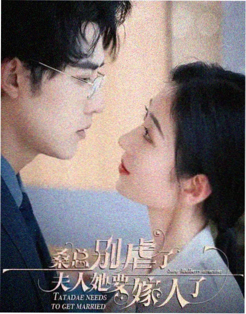 群山回响 电视剧视频播放在线观看